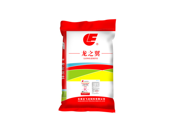 5ua(chn)ڏͺA